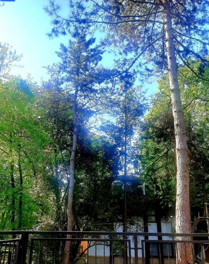 Rb Apartment 1 Palić エクステリア 写真