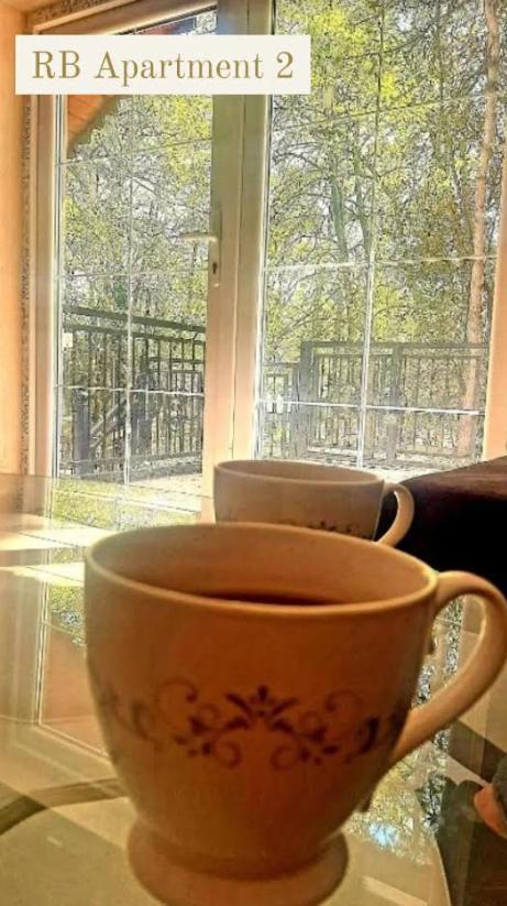 Rb Apartment 1 Palić エクステリア 写真