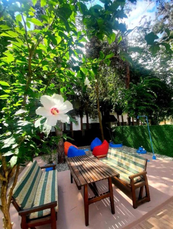 Rb Apartment 1 Palić エクステリア 写真