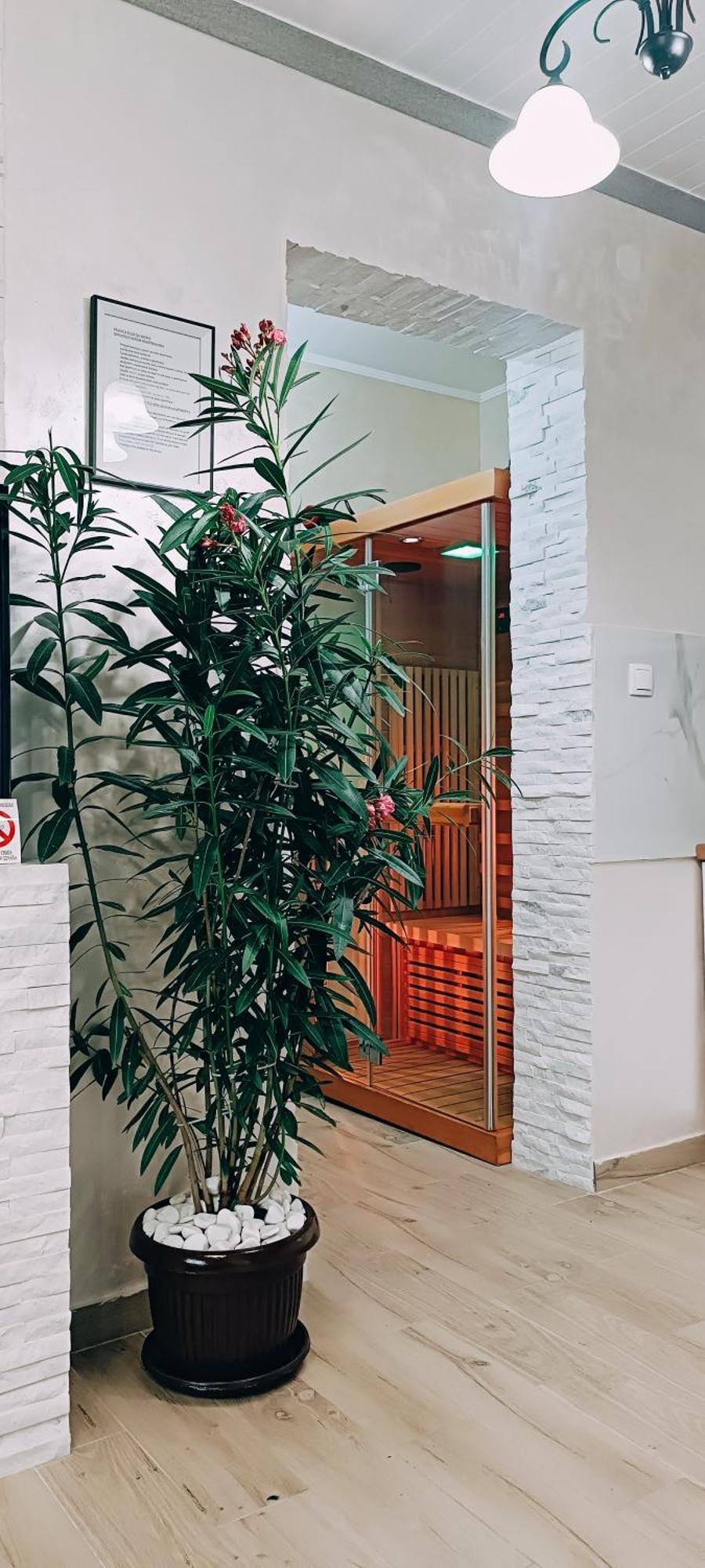 Rb Apartment 1 Palić エクステリア 写真