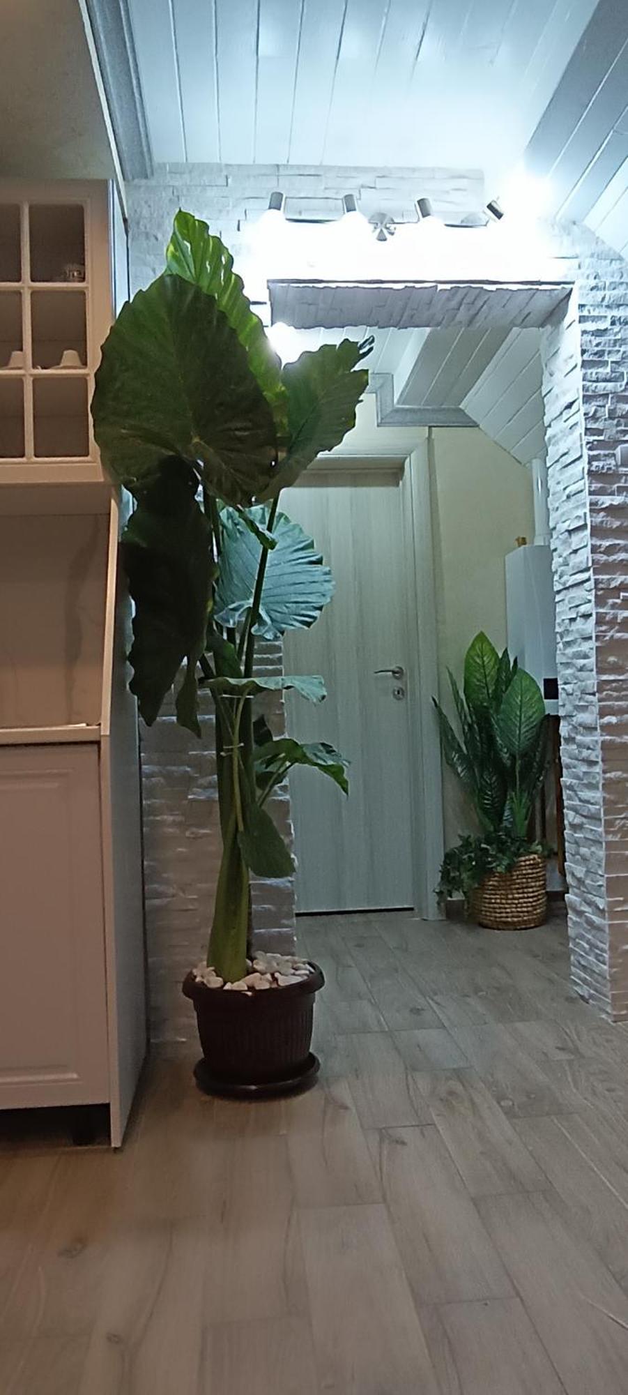 Rb Apartment 1 Palić エクステリア 写真