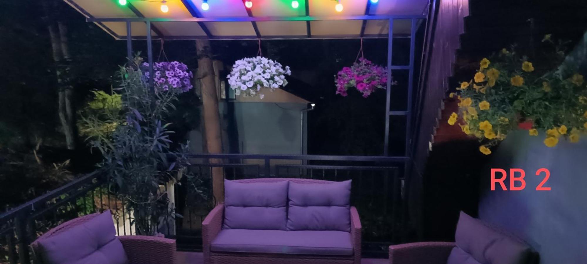 Rb Apartment 1 Palić エクステリア 写真